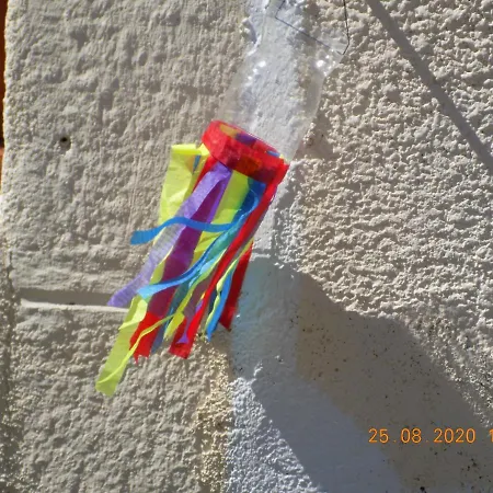 Les Papillons Vrolle