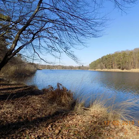Les Papillons Nyaraló *