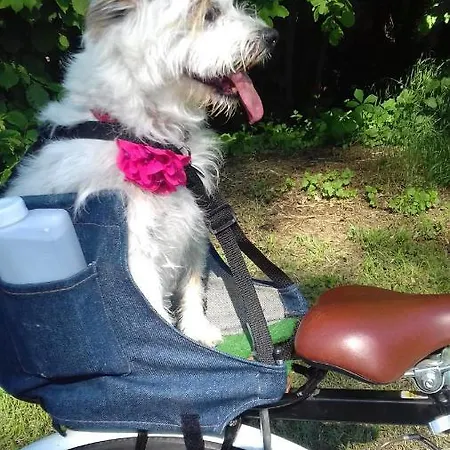 Nyaraló Les Papillons Vrolle