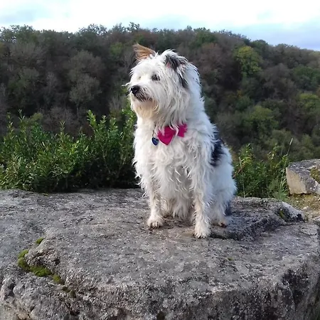 Nyaraló Les Papillons