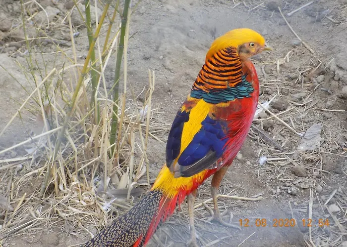 Les Papillons Holiday home Vrolle