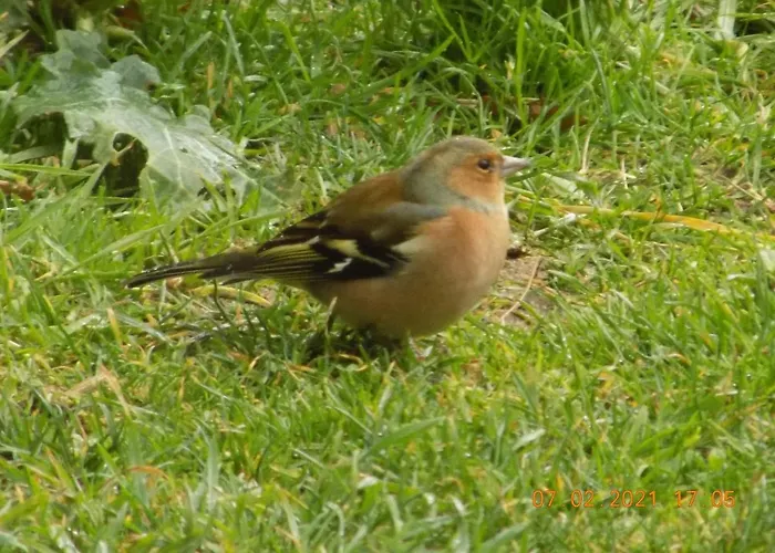 Les Papillons Holiday home *