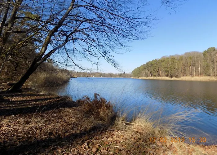 Les Papillons Holiday home *