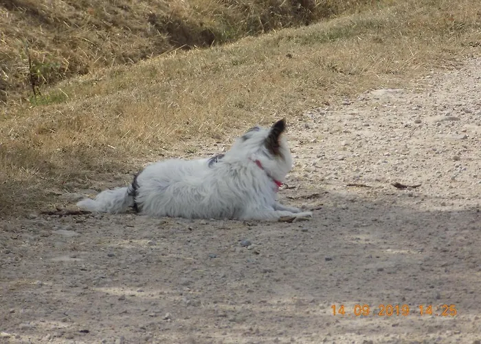 Les Papillons Holiday home Vrolle
